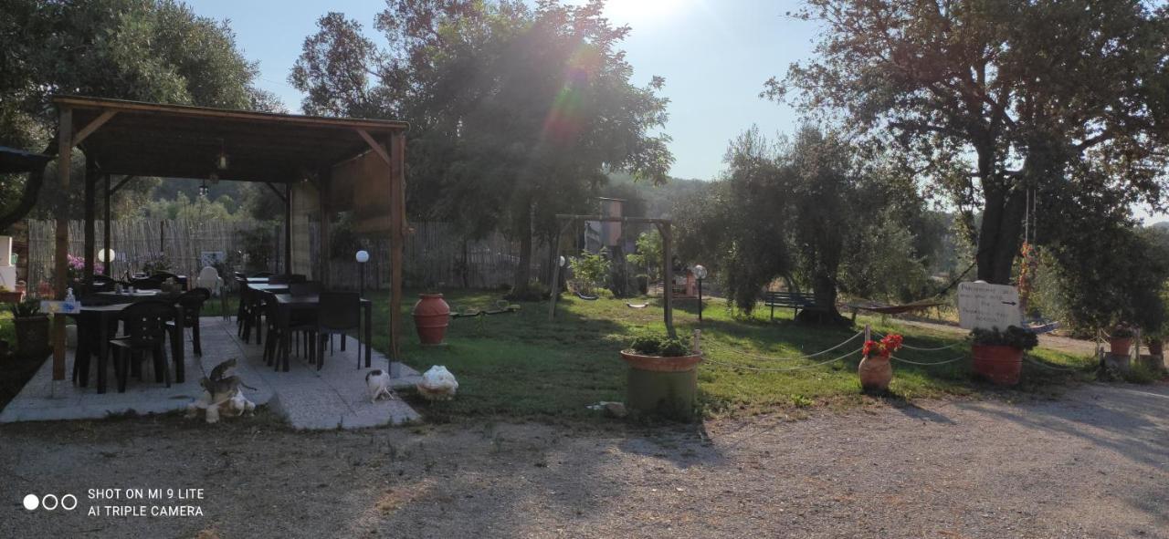 Agriturismo Poggio All'Olivo フォッローニカ エクステリア 写真
