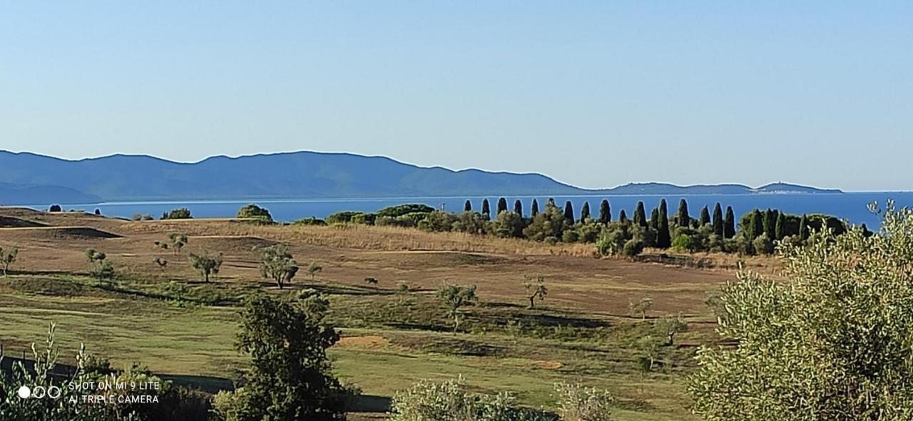 Agriturismo Poggio All'Olivo フォッローニカ エクステリア 写真