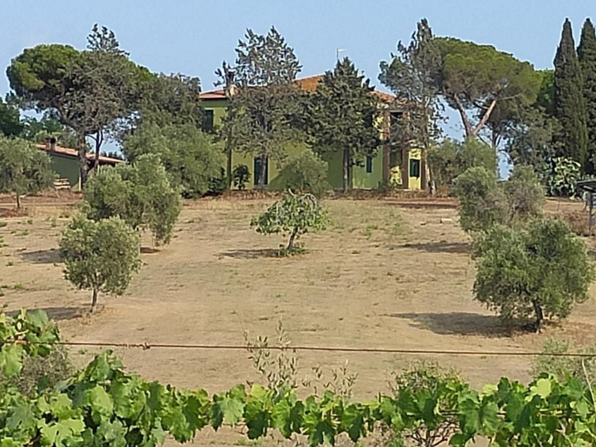 Agriturismo Poggio All'Olivo フォッローニカ エクステリア 写真