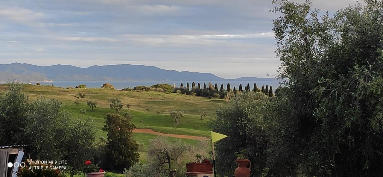 Agriturismo Poggio All'Olivo フォッローニカ エクステリア 写真