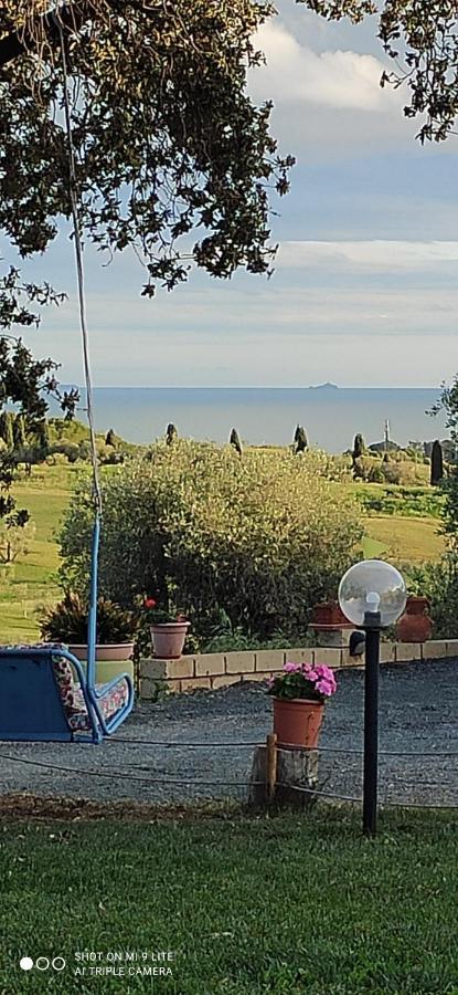 Agriturismo Poggio All'Olivo フォッローニカ エクステリア 写真
