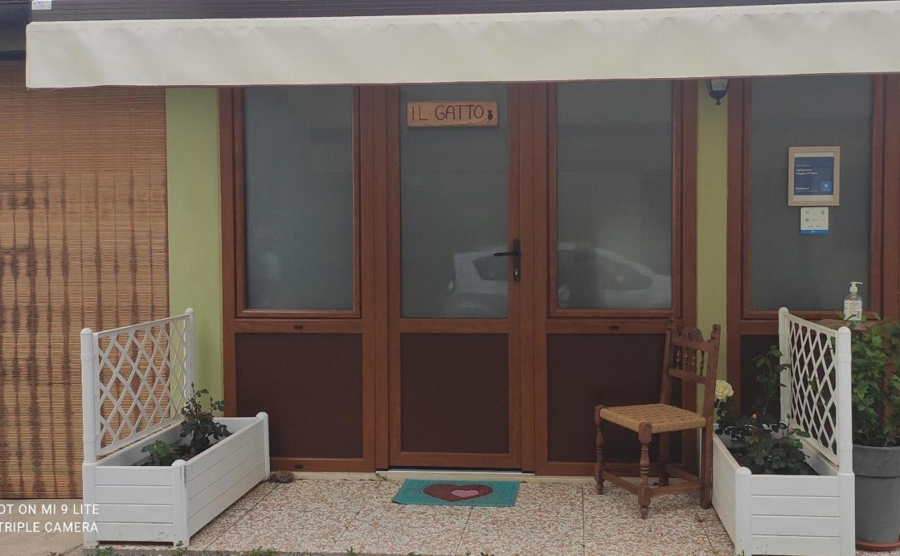 Agriturismo Poggio All'Olivo フォッローニカ エクステリア 写真