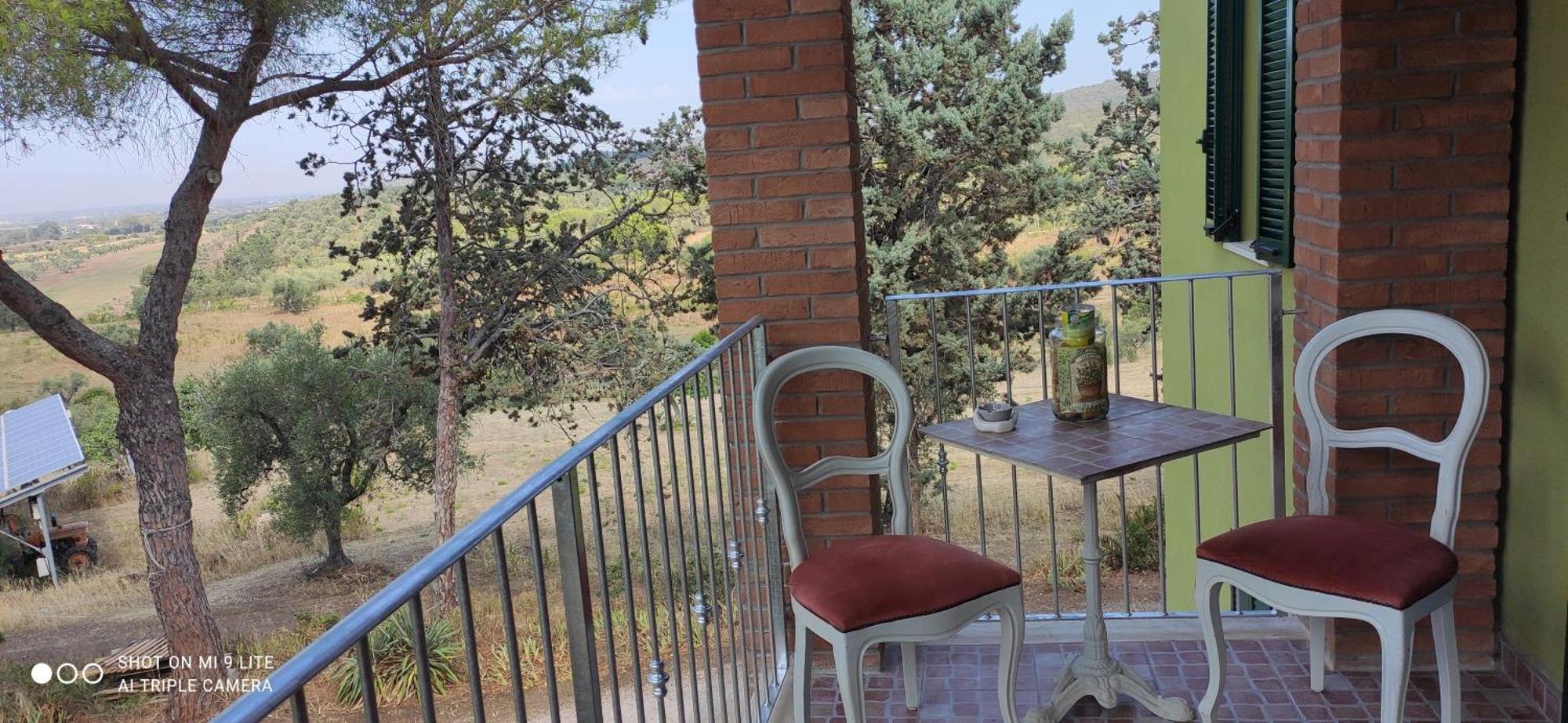 Agriturismo Poggio All'Olivo フォッローニカ 部屋 写真