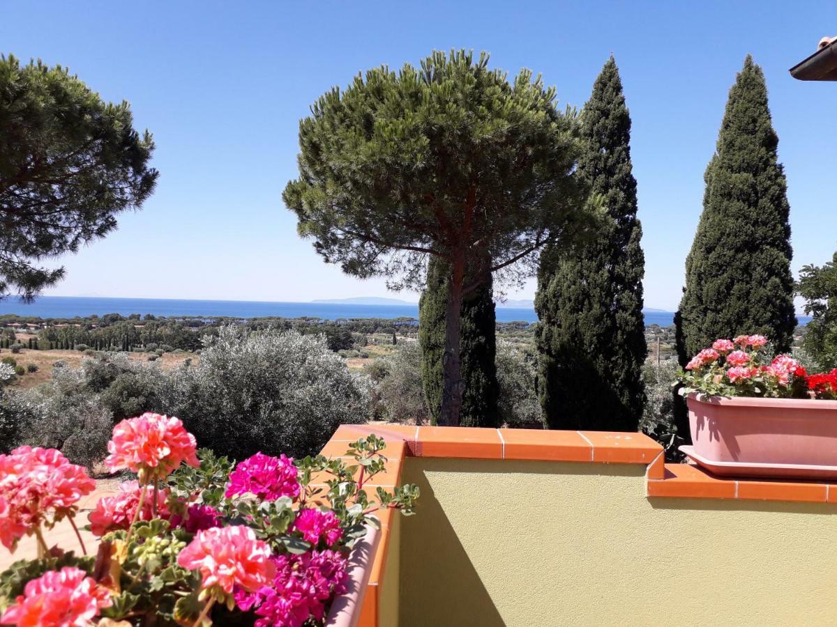 Agriturismo Poggio All'Olivo フォッローニカ エクステリア 写真