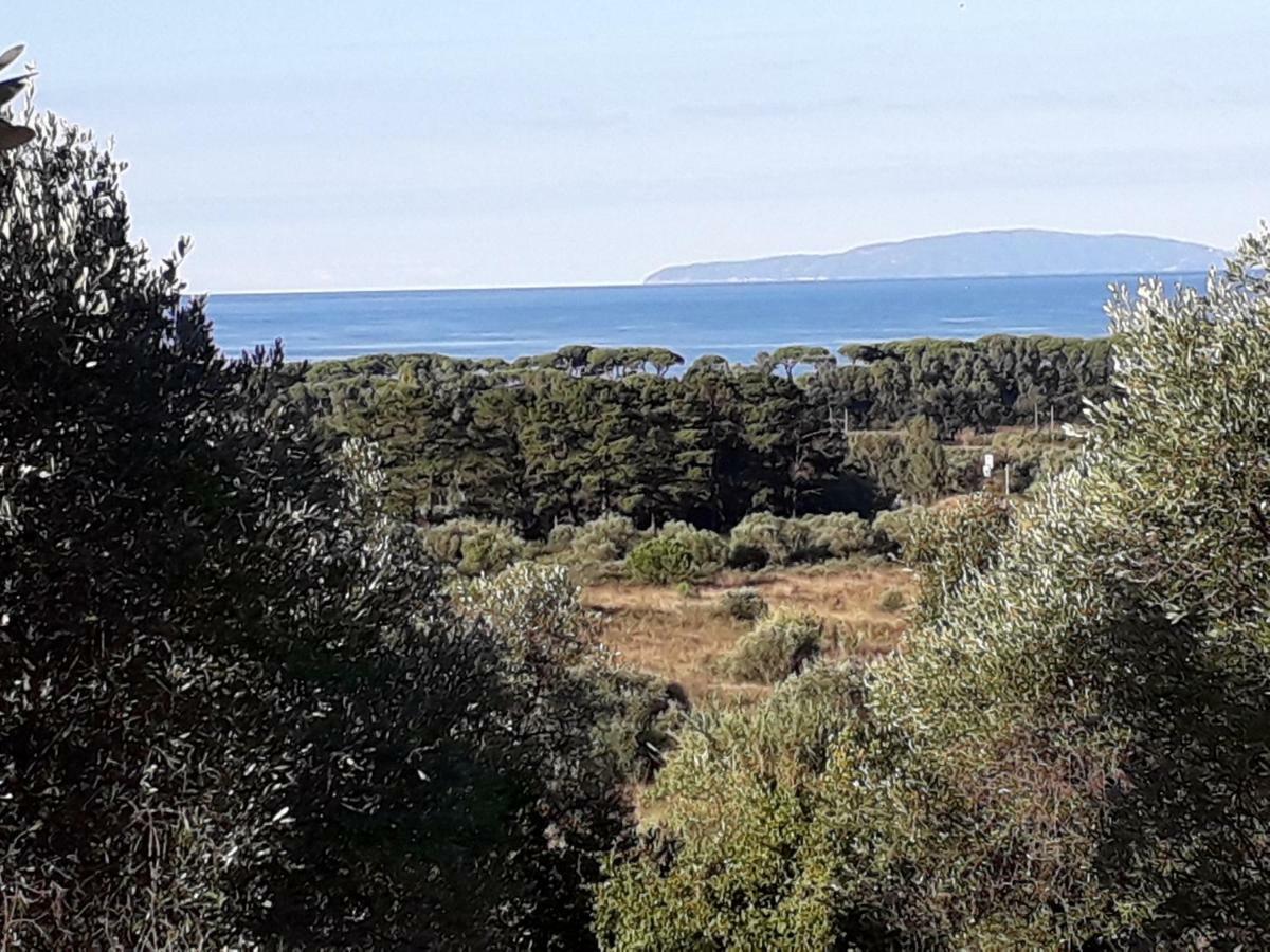 Agriturismo Poggio All'Olivo フォッローニカ エクステリア 写真